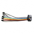 10-Pin ISP Split Cable (2.54mm) ISP-SP-CB-3